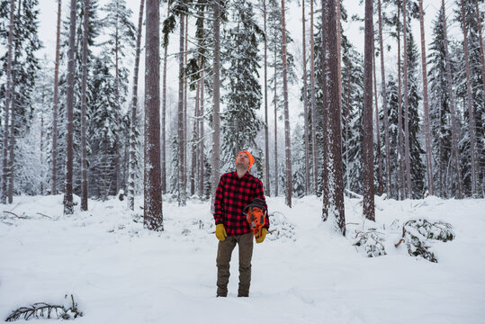 Lumberjack in forest, Sweden
