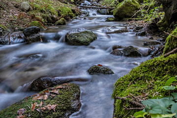 Water stream with icicles in forest, Little Fatra, Slovakia