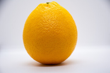 orange on white background