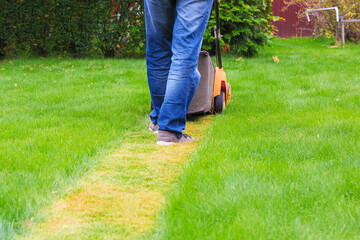 Man in blue jeans mows the grass with a lawn mower. Back view