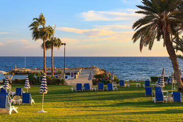 Beach with palm trees, sun loungers. Limassol, Cyprus