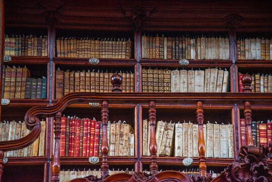Biblioteca Palafoxiana en la ciudad de Puebla, Mexico, fuente de libros, cultura, historia, retablos, antiguos y muebles de madera clasica de la epoca de la conquista, b&oacute;vedas aniguas