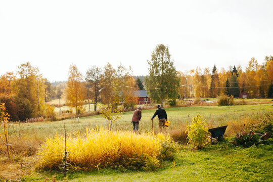 People on field, Sweden