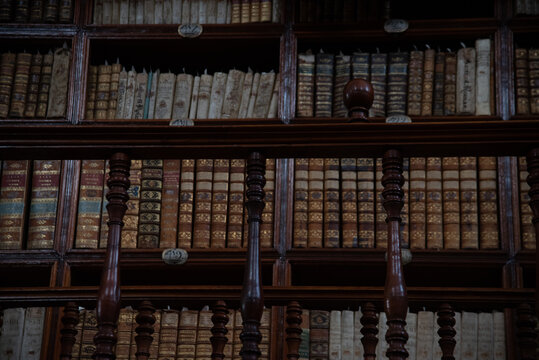 Biblioteca Palafoxiana en la ciudad de Puebla, Mexico, fuente de libros, cultura, historia, retablos, antiguos y muebles de madera clasica de la epoca de la conquista, b&oacute;vedas aniguas
