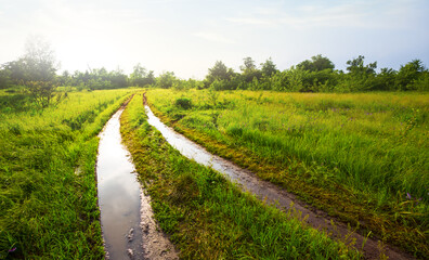 Obraz premium ground dirty road among green fields, summer countryside background