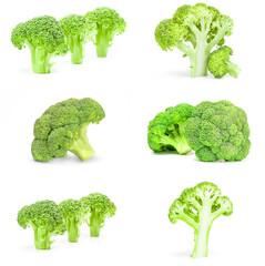 Set of fresh green broccoli isolated on a white background cutout