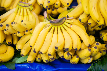 Bunch of yellow bananas on farm market