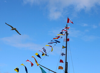 Mast with signal flags against blue sky.	
