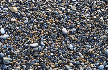 multicolored wet pebbles on the Black Sea coast, colorful background