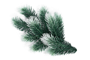 christmas decotation fir tree branch with snow on white background