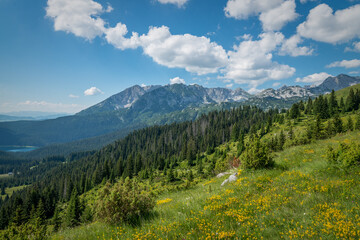 Obraz premium Beautiful mountain Durmitor national park