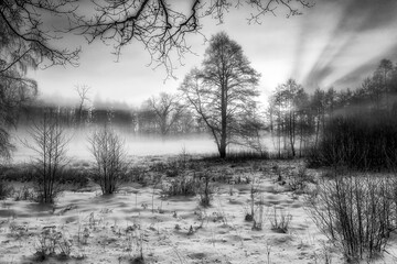 Winter Wonderland in morning light of the sunrise Black & White - 394462239