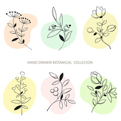 Collection of artistic foliage leaves natural grasses in the style of the line. Decorative beauty elegant illustration for hand drawn flower design. Vector botanical elements.Collection of artistic fo
