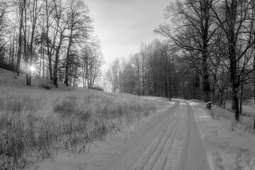 Winter Wonderland in morning light of the sunrise Black & White - 394463094
