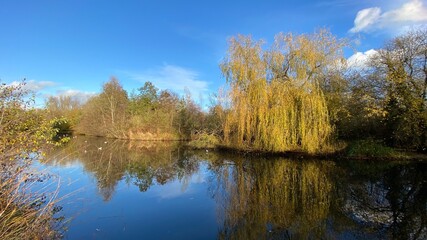 Park canal in a beautiful sunny autumn day with trees and cloud reflecting on the calm, still water, scenic nature landscape, beautiful nature, blue sky and water.