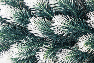 Naklejka na ściany i meble merry christmas and new year green pine tree fir branches background