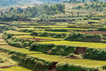 Sambaina, Madagascar - 22 mei 2019