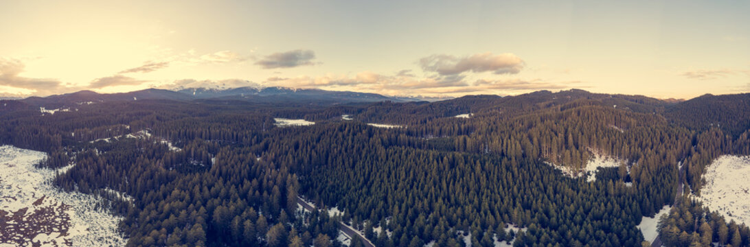 Spectacular winter forest panorama with sun setting behind mountains. © anzebizjan