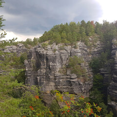 the rock cliff with spruce trees