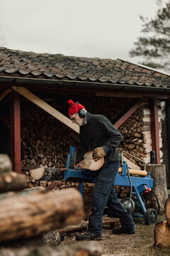 Senior man sawing wood, Sweden