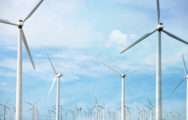 Still Life Digital Manipulation Photography