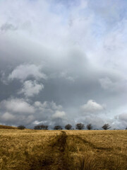 Fototapeta na wymiar Stormy day of hiking in among the fields in Largs, North Ayrshire, Scotland