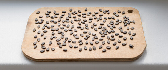 Watermelon seeds dry on a wooden Board
