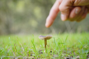 Pequeñas grandes cosas en la naturaleza