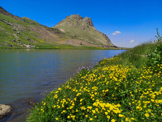 Naklejka na ściany i meble A lake view in the mountains, colorful flowers by the lake, green meadows. blue sky 
