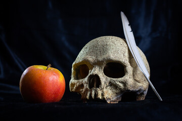 Old skull with red apple and feather concept