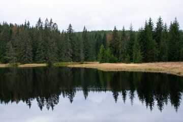 Fototapeta na wymiar Polecka reservoir and mirroring of trees at Bohemian forest, Czech republic