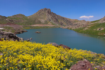 View of a lake in mountains. Hakkari cilo sat lakes, snowy mountains and natural scenery
