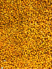 background of sea buckthorn 