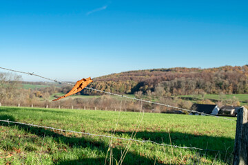 Fototapeta premium Beautiful autumn panoramic landscape with green hills, forests and villages on the horizon. Rural nature in the Netherlands province of Limburg.