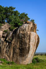 Beautiful Kopje in a savannah landscape, Serengeti National Park, Tanzania
