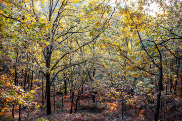 Garganta de los Infiernos Natural Reserve, Caceres, Extremadura, Spain