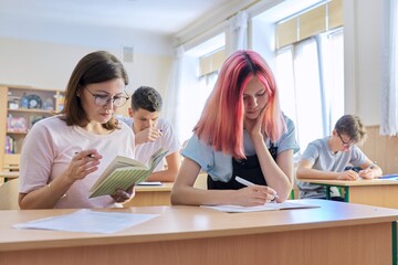 Fototapeta premium Middle-aged woman teacher sitting at desk with teenage student teaches
