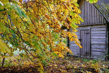 old house in autumn