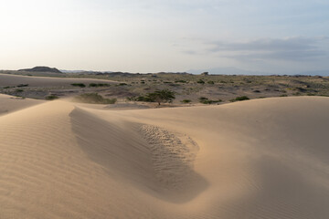 , Oman - 02 februari 2020