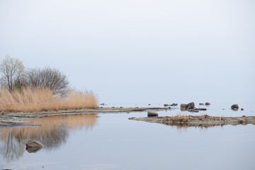 mirrorlike seaside