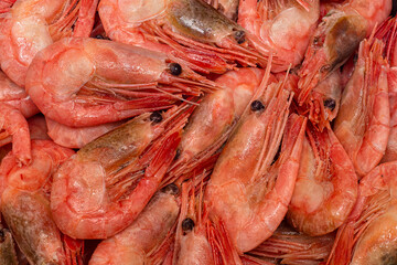 Background of shrimp close-up.