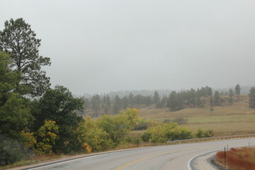 A foggy road.