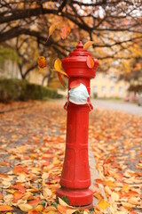 Red hydrant on a background of autumn leaves