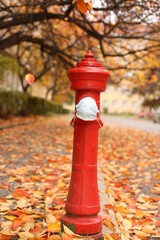 Red hydrant on a background of autumn leaves