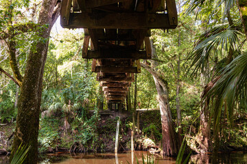 Under the Suspension Bridge