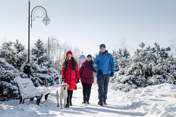 Family with a larbrador dog walking in a snowy park on a nice winter day. Father, mother and daughter smile and have fun enjoying bright winter day. Family values and spending time together concept.