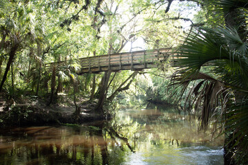 Fototapeta na wymiar The Richness of nature in a forest very Tropica, Suspention Bridge crossing the River