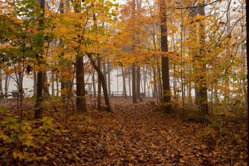 Fototapeta premium Autumn Fog at the Green Mountain Nature preserve in Huntsville Alabama