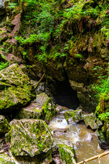 Forest karst sinkhole