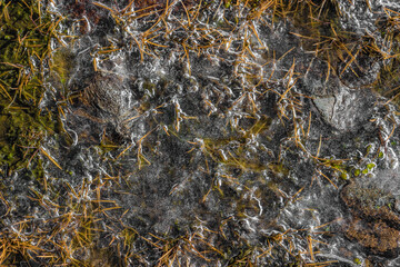 Gefrorener Grasboden